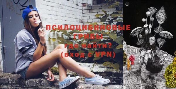 ГАЛЛЮЦИНОГЕННЫЕ ГРИБЫ Белоозёрский