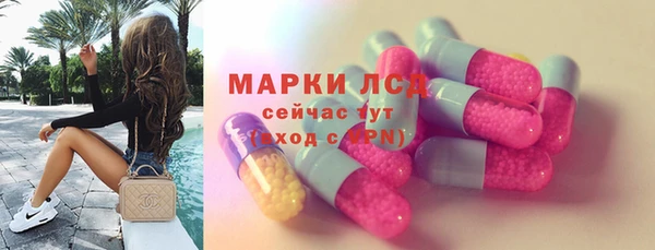 дмт Богданович