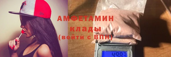 дмт Богданович