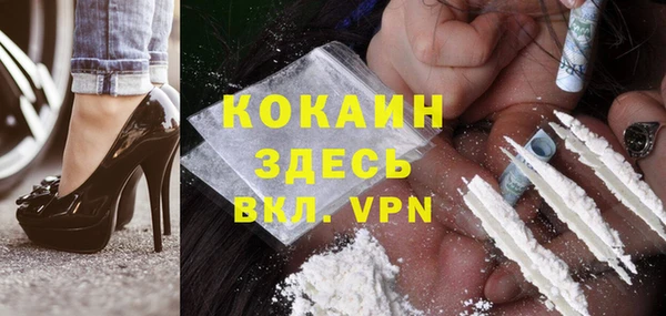 дмт Богданович