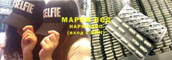 дмт Богданович