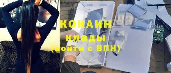 крисы Белокуриха
