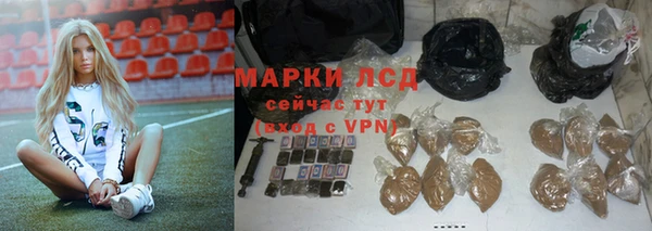дмт Богданович